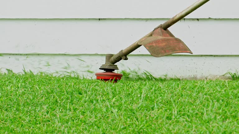 Lawn Pest Prevention in Great Neck, NY